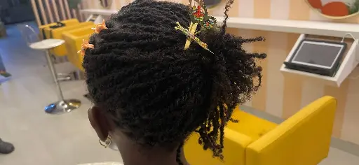 TWIST AVEC LES CHEVEUX 